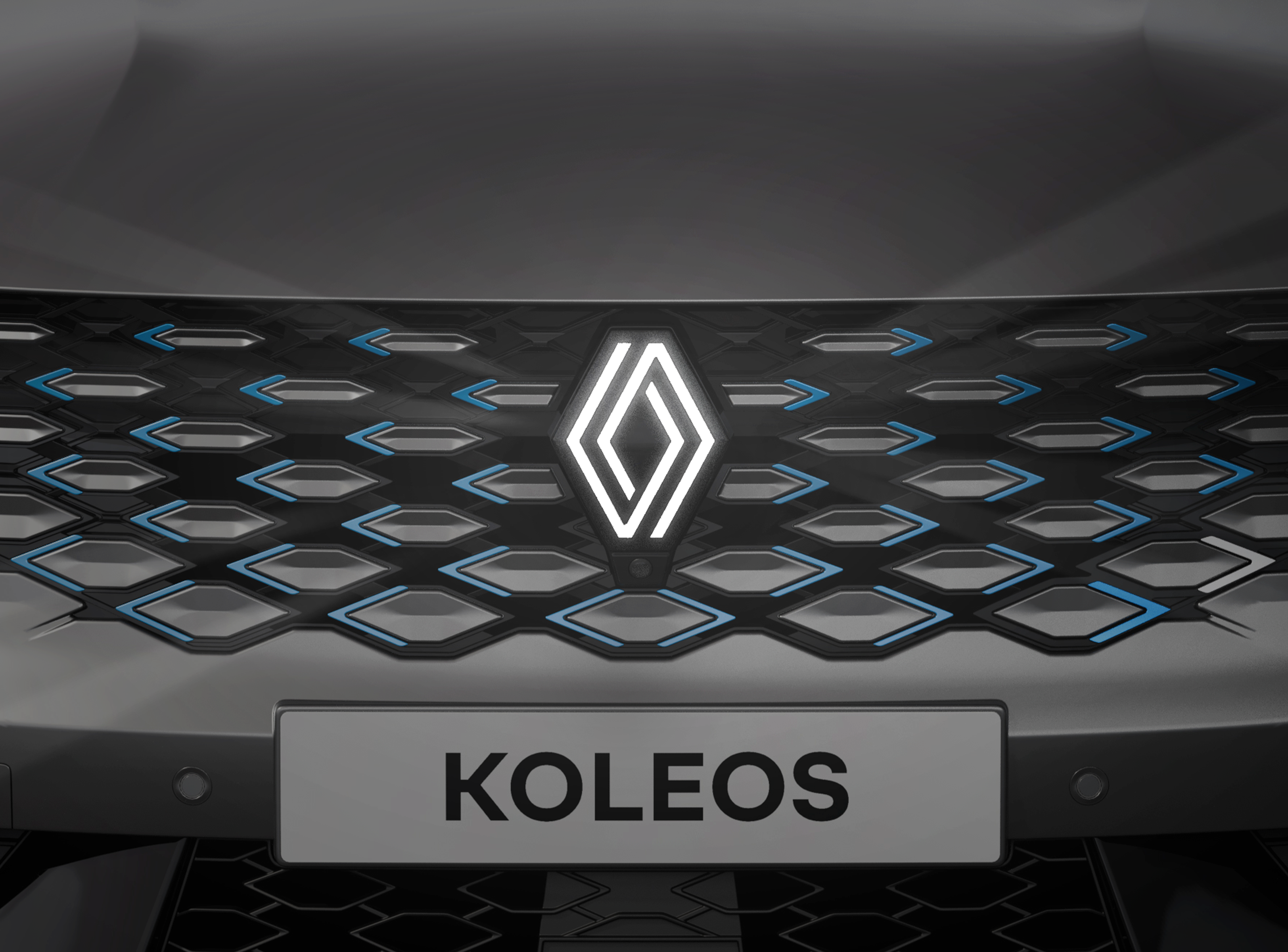 조명 엠블럼 [GRAND KOLEOS 그랑콜레오스]